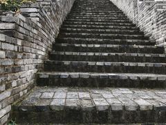 -黄贤森林公园