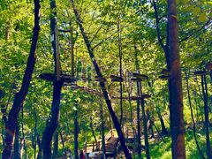 -沂蒙山旅游区云蒙景区(蒙山国家森林公园)