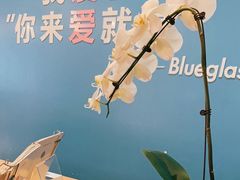-Blueglass酸奶(华贸购物中心店)