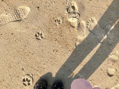 -玫瑰海岸文化旅游度假区