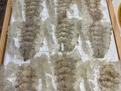 明虾生-官塘鱻鱻鱼生