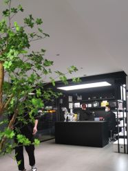 -付军剪艺JF ProSalon