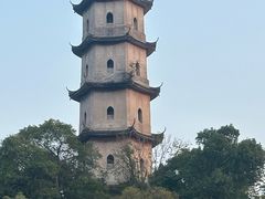 -江心屿景区