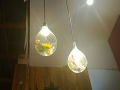 大堂-又一福烤鸭·北京菜(东四店)
