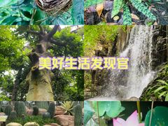 -中国科学院华南植物园