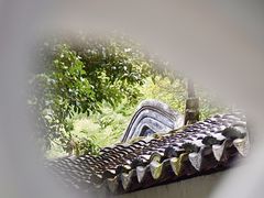 -沧浪亭