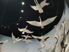 -中国湿地博物馆