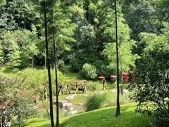 -云溪植物园