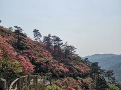 -木兰云雾山