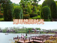 -东莞植物园
