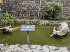 -燊海井