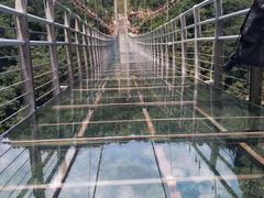 -九龙江国家森林公园