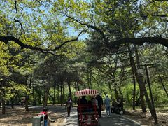 -北陵公园