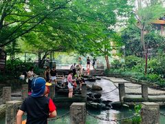 -成都市活水公园
