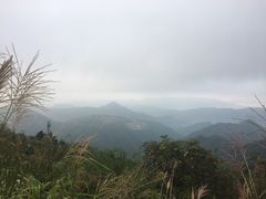 -东白山