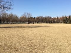 -泰丰公园