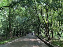 -灵谷景区