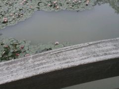 android_upload_pic-徐州乐园加勒比水世界