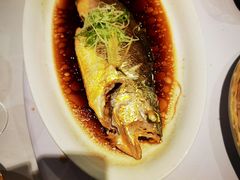 葱油东海大黄鱼-丰收日(五角场店)