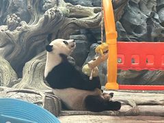 -武汉动物园