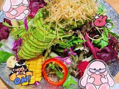-蝉一日本料理(高新区店)