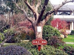 太极禅苑-太极禅苑