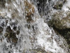 -牛背梁国家森林公园