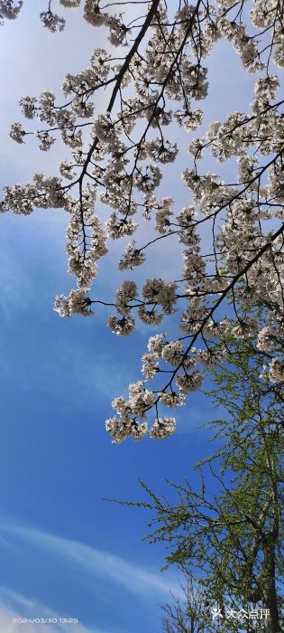 诺贝尔湖公园图片