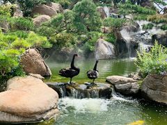 -罗红摄影艺术馆