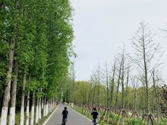 -昆山城市生态森林公园