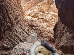 -天山神秘大峡谷