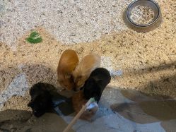 -酷嗒动物文化乐园(cutezoo西溪乐天城店)