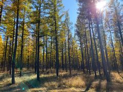 -塞罕坝国家级自然保护区