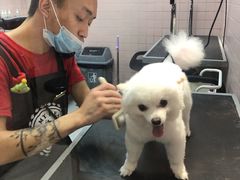 -FAELING PETS美天灵宠物(富力广场店)