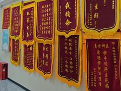 -美联众合爱康动物医院•复杂内科•肿瘤科•牙科•腔镜诊疗中心