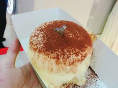 小提苏梳乎厘-狐狸和向日葵(北京路店)