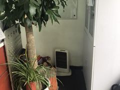 -新世界教育iVEE·英语日语西语(金桥校区)