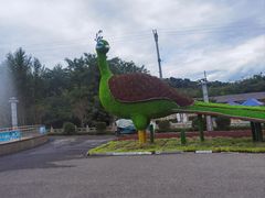 -大芦花风景区