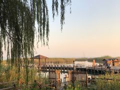 -太湖湖滨国家湿地公园-停车场