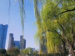-木塔寺遗址生态公园