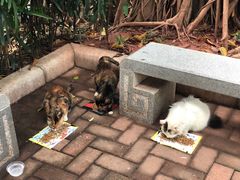 -晓港公园