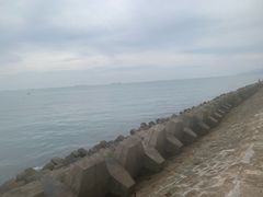 -青岛第二海水浴场