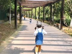 -九龙潭景区