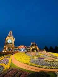 -翱翔飞越地平线