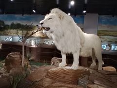 -陕西自然博物馆