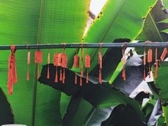 -乐山大佛风景名胜区乌尤寺南门-售票点