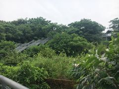 -佛山顺德香云纱园林酒店(清晖园店)