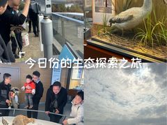 -漩门湾国家湿地公园