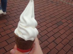 -富豪雪糕车流动点(尖沙咀店)