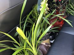 -长兴慧子土特产茶行
